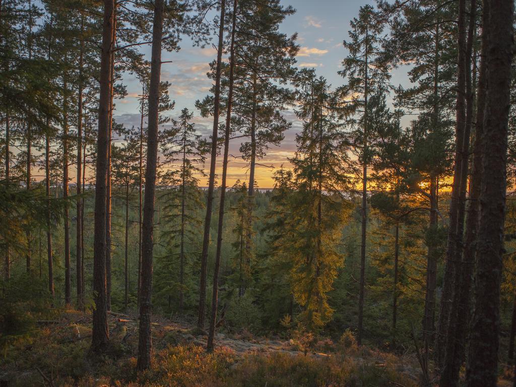Hamgarden Nature Resort Tiveden Oda fotoğraf